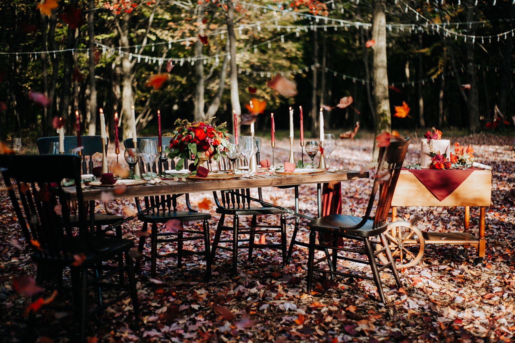 Whimsical beauty